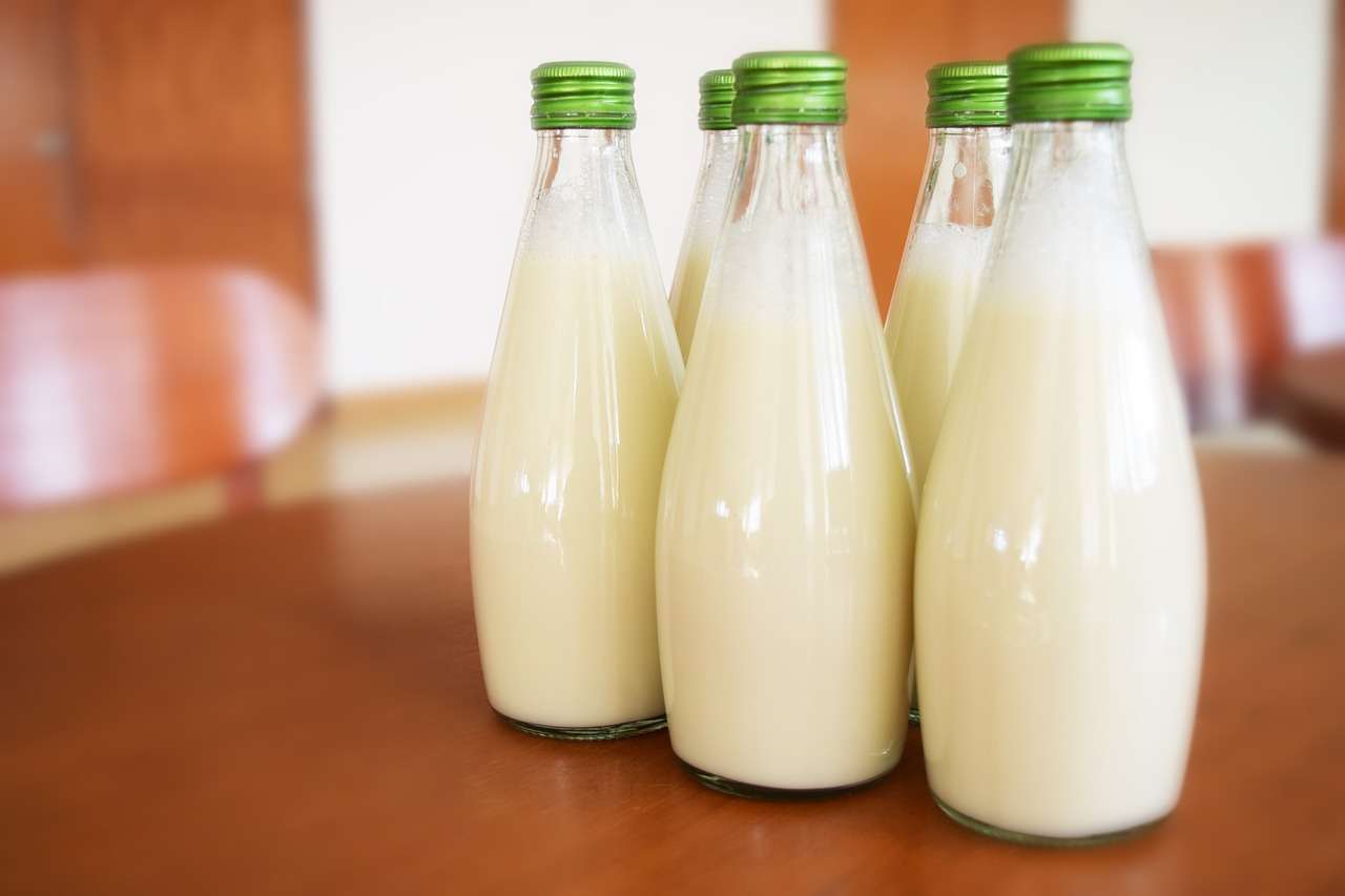 milk, drink, healthy-1223800.jpg